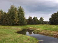 NL, Drenthe, Midden-Drenthe, Oude Diep 2, Saxifraga-Hans Dekker