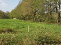 NL, Drenthe, Midden-Drenthe, Vossenberg 3, Saxifraga-Hans Dekker