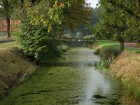 NL, Drenthe, Midden-Drenthe, Witterveld 1, Saxifraga-Hans Dekker