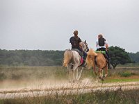 NL, Drenthe, Westerveld, Kraloerheide 41, Saxifraga-Hans Dekker