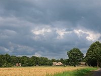 NL, Drenthe, Westerveld, Lhee 5, Saxifraga-Hans Dekker