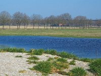 NL, Drenthe, Westerveld, Oude Willem 23, Saxifraga-Hans Dekker