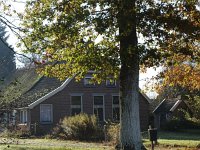 NL, Drenthe, Westerveld, Wapserveen 1, Saxifraga-Hans Dekker