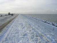 NL, Flevoland, Almere, Oostvaardersplassen 3, Saxifraga-Henk Sierdsema