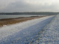 NL, Flevoland, Almere, Oostvaardersplassen 9, Saxifraga-Henk Sierdsema