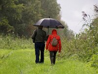 NL, Flevoland, Lelystad, Hollandse Hout 6, Saxifraga-Foto Fitis-Sytske Dijksen