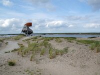 NL, Flevoland, Lelystad, Marker Wadden 9, Saxifraga-Foto Fitis-Sytske Dijksen