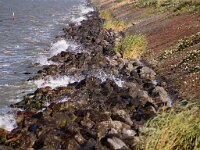 NL, Flevoland, Lelystad, Markermeer 1, Saxifraga-Foto Fitis-Sytske Dijksen