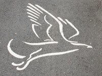 NL, Flevoland, Lelystad, Oostvaardersplassen 113, Saxifraga-Foto Fitis-Sytske Dijksen