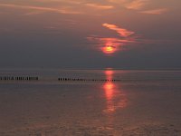 NL, Friesland, Ameland, Dantziggat 6, Saxifraga-Hans Boll