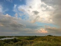 NL, Friesland, Ameland, Lange Duinen 1, Saxifraga-Bart Vastenhouw