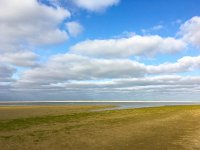 NL, Friesland, Ameland, Noordzeestrand 1, Saxifraga-Bart Vastenhouw