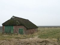 NL, Friesland, Dongeradeel, Anjum 2, Saxifraga-Hans Boll