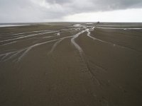 Engelsmanplaat, Waddenzee  Engelsmanplaat, Waddenzee : sea, natuurbeleving, Natura 2000, cloudy, wadlopen, wadlopers, wandelen, lente, recreatie, low tide, regenachtig, Engelsmanplaat, natuur, grey, Wadplaat, Waddenzee, Fryslan, child, grauw, rainy, recreation, water, voorjaar, laagwater, natura 2000-gebied, model released, Wadden, bewolkt, walking, zee, children, Wadden Sea, laag water, nature reserve, Friesland, kinderen, kind, nature, beschermd natuurgebied, IBA, zandplaat, staatsbosbeheer, eb, Frysia