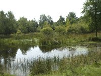 NL, Friesland, Gaasterland-Sloten, Wyldemerk 8, Saxifraga-Willem van Kruijsbergen