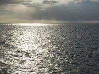 NL, Friesland, Harlingen, Waddenzee 9, Saxifraga-Jan van der Straaten