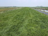 Green dike along Lake IJssel near Dutch city Hindeloopen  Green dike along Lake IJssel near Dutch city Hindeloopen : dike, ditch, Europe, European, Friesland, Dutch, Fryslan, grass, grassy, Hindeloopen, Holland, horizon, horizon over land, Hylpen, ijsselmeer, lake ijssel, Netherlands, no people, nobody, non-urban landscape, outdoors, outside, road, rural landscape, rural scene, straight, street