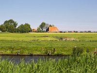 Typical rural landscape of Dutch province Friesland  Typical rural landscape of Dutch province Friesland : sky, outside, outdoor, landscape, rural landscape, countryside, rural scene, non-urban scene, land, Friesland, Frylan, Dutch, Holland, Netherlands, Europe, European, no people, nobody, summer, summertime, spring, springtime, ditch, water, farm, farmland, agriculture, agricultural, grass, grassland, meadow, plain, room, blue, horizon, horizon over land