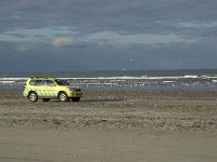 NL, Friesland, Terschelling, Boschplaat 10, Saxifraga-Jan van der Straaten