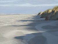 NL, Friesland, Terschelling, Boschplaat 29, Saxifraga-Jan van der Straaten