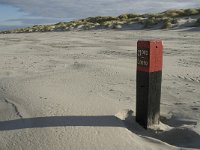 NL, Friesland, Terschelling, Boschplaat 30, Saxifraga-Jan van der Straaten