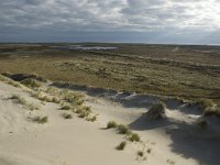 NL, Friesland, Terschelling, Boschplaat 9, Saxifraga-Marijke Verhagen