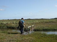 NL, Friesland, Terschelling, De Grie 18, Saxifraga-Dirk Hilbers