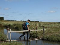 NL, Friesland, Terschelling, De Grie 20, Saxifraga-Dirk Hilbers