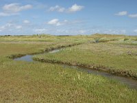 NL, Friesland, Terschelling, De Grie 26, Saxifraga-Dirk Hilbers