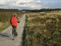 NL, Friesland, Terschelling, Griltjeplak 16, Saxifraga-Marijke Verhagen