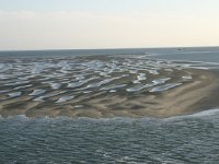 NL, Friesland, Terschelling, Terschellinger wad 16, Saxifraga-Hans Boll