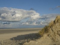 NL, Friesland, Terschelling, West aan Zee 2, Saxifraga-Jan van der Straaten