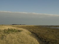 NL, Friesland, Terschelling, Wierschuur 15, Saxifraga-Marijke Verhagen