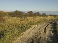 NL, Friesland, Terschelling, Wierschuur 23, Saxifraga-Marijke Verhagen