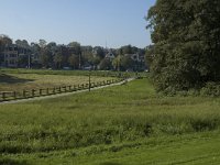 NL, Gelderland, Arnhem, Sonsbeek 19, Saxifraga-Jan van der Straaten