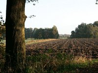 NL, Gelderland, Berg en Dal, Erlecom 1, Saxifraga-Hans Boll