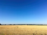 NL, Gelderland, Berg en Dal, Millingen 1, Saxifraga-Bart Vastenhouw