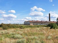 NL, Gelderland, Berg en Dal, Millingerwaard 17, Saxifraga-Tom Heijnen