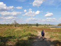 NL, Gelderland, Berg en Dal, Millingerwaard 18, Saxifraga-Tom Heijnen