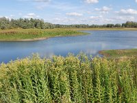 NL, Gelderland, Berg en Dal, Millingerwaard 19, Saxifraga-Tom Heijnen