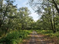 NL, Gelderland, Berg en Dal, Millingerwaard 21, Saxifraga-Tom Heijnen