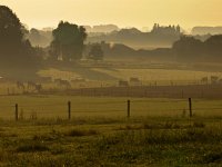 agricultural landscape misty sunrise  agricultural landscape with cows during misty sunrise : Netherlands, SHADOW, agrarische, agricultural, agriculture, atmosphere, back, beauty, biotoop, bomen, boom, color, colorful, country, countryside, creatief, creative nature, dageraad, dawn, daybreak, dusk, dutch, environment, farm, farmland, field, fog, foggy, geel, gelderland, gloed, gloeiend, glow, glowing, gras, grass, green, groen, groesbeek, haze, hazy, hemel, heuvel, heuvels, hill, hills, holland, horizon, kant, kleur, kleurrijk, land, landbouw, landbouwgrond, landelijk, landscape, landschap, licht, lit, milieu, mist, mistig, misty, mood, morning, mysterieus, mysterious, mystic, mystical, mystiek, mystieke, natural, nature, natuur, natuurlijk, natuurlijke, nederland, nederlands, nederrijk, nevel, nevelig, niemand, nobody, non-urban, ochtend, ochtendgloren, omgeving, opkomst, oranje, pasture, pink, platteland, rudmer zwerver, ruraal, rural, scene, scenery, scenic, schaduw, schaduwen, schemering, schoonheid, scène, serene, sfeer, shade, shades, side, silhouet, silhouette, silhouetted, sky, stemming, summer, sundown, sunrise, sunset, tegenlicht, tree, uitzicht, upcoming, veld, view, wazig, weide, yellow, zomer, zonsondergang, zonsopgang