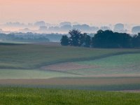 Silhouetted landscape during sunrise  Silhouetted landscape during sunrise : Netherlands, SHADOW, agrarische, agricultural, agriculture, atmosphere, back, beauty, biotoop, bomen, boom, color, colorful, country, countryside, creatief, creative nature, dageraad, dawn, daybreak, dusk, dutch, environment, farm, farmland, field, fog, foggy, geel, gelderland, gloed, gloeiend, glow, glowing, gras, grass, green, groen, groesbeek, haze, hazy, hemel, heuvel, heuvels, hill, hills, holland, horizon, kant, kleur, kleurrijk, land, landbouw, landbouwgrond, landelijk, landscape, landschap, licht, lit, milieu, mist, mistig, misty, mood, morning, mysterieus, mysterious, mystic, mystical, mystiek, mystieke, natural, nature, natuur, natuurlijk, natuurlijke, nederland, nederlands, nederrijk, nevel, nevelig, niemand, nobody, non-urban, ochtend, ochtendgloren, omgeving, opkomst, pasture, pink, platteland, roze, rudmer zwerver, ruraal, rural, scene, scenery, scenic, schaduw, schaduwen, schemering, schoonheid, scène, serene, sfeer, shade, shades, side, silhouet, silhouette, silhouetted, sky, stemming, summer, sundown, sunrise, sunset, tegenlicht, tree, uitzicht, upcoming, veld, view, wazig, weide, yellow, zomer, zonsondergang, zonsopgang