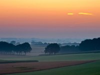 Magical sunrise over hillside agricultural country  Magical sunrise over hillside farmland country : Netherlands, SHADOW, agrarische, agricultural, agriculture, atmosphere, back, beauty, biotoop, bomen, boom, color, colorful, country, countryside, creatief, creative nature, dageraad, dawn, daybreak, dusk, dutch, environment, farm, farmland, field, fog, foggy, geel, gelderland, gloed, gloeiend, glow, glowing, gras, grass, green, groen, groesbeek, haze, hazy, hemel, heuvel, heuvels, hill, hills, holland, horizon, kant, kleur, kleurrijk, land, landbouw, landbouwgrond, landelijk, landscape, landschap, licht, lit, milieu, mist, mistig, misty, mood, morning, mysterieus, mysterious, mystic, mystical, mystiek, mystieke, natural, nature, natuur, natuurlijk, natuurlijke, nederland, nederlands, nederrijk, nevel, nevelig, niemand, nobody, non-urban, ochtend, ochtendgloren, omgeving, opkomst, orange, oranje, pasture, platteland, roze, rudmer zwerver, ruraal, rural, scene, scenery, scenic, schaduw, schaduwen, schemering, schoonheid, scène, serene, sfeer, shade, shades, side, silhouet, silhouette, silhouetted, sky, stemming, summer, sundown, sunrise, sunset, tegenlicht, tree, uitzicht, upcoming, veld, view, wazig, weide, yellow, zomer, zonsondergang, zonsopgang