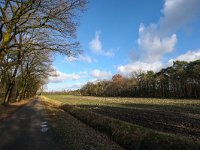 NL, Gelderland, Berkelland, Eibergen 1, Saxifraga-Bart Vastenhouw