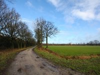 NL, Gelderland, Berkelland, Ruurlo 1, Saxifraga-Bart Vastenhouw