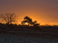 Zonsopgang Beekhuizerzand