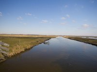 NL, Gelderland, Nijkerk, Arkemheen 19, Saxifraga-Jan Nijendijk