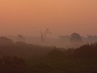 zonsopkomst Hulshorsterzand  zonsopkomst Hulshorsterzand om 7.30u : landschapsfotografie