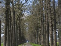 NL, Gelderland, Putten, Landgoed Oldenaller 4, toegangsweg,  Saxifraga-Jan Nijendijk